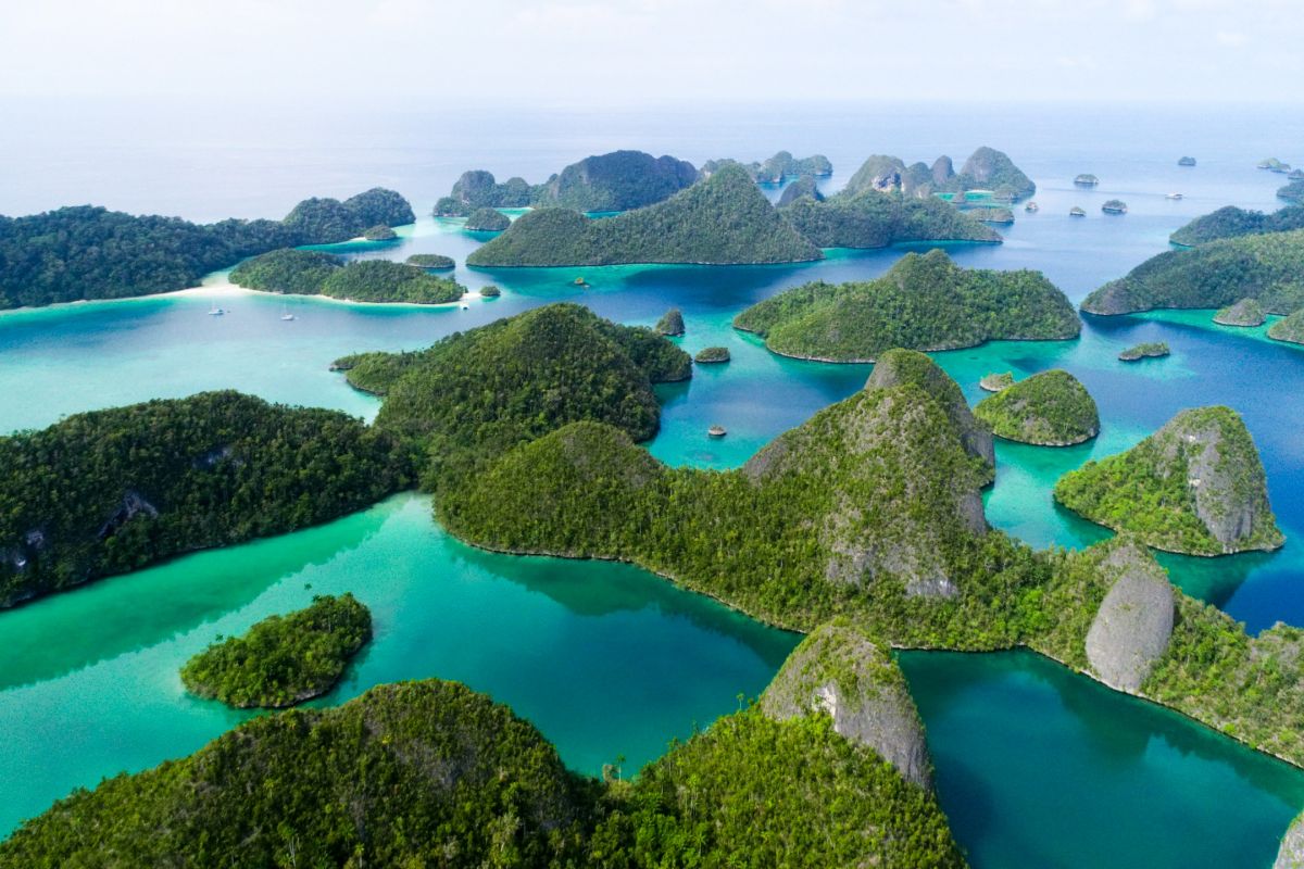 Kepulauan Raja Ampat Papua Barat